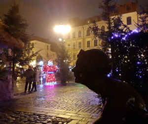 Świąteczne akcenty na toruńskiej starówce