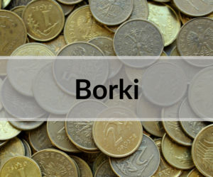 7. Borki