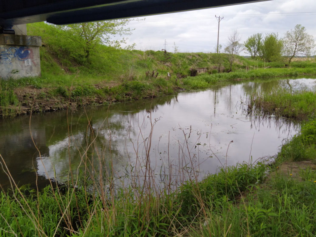 Sprzątanie mostu kolejowego nad rzeką Muchawką - 15.05.2021