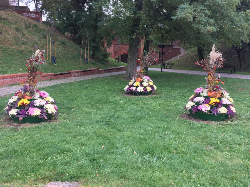 Jesienne kompozycje w Grudziądzu