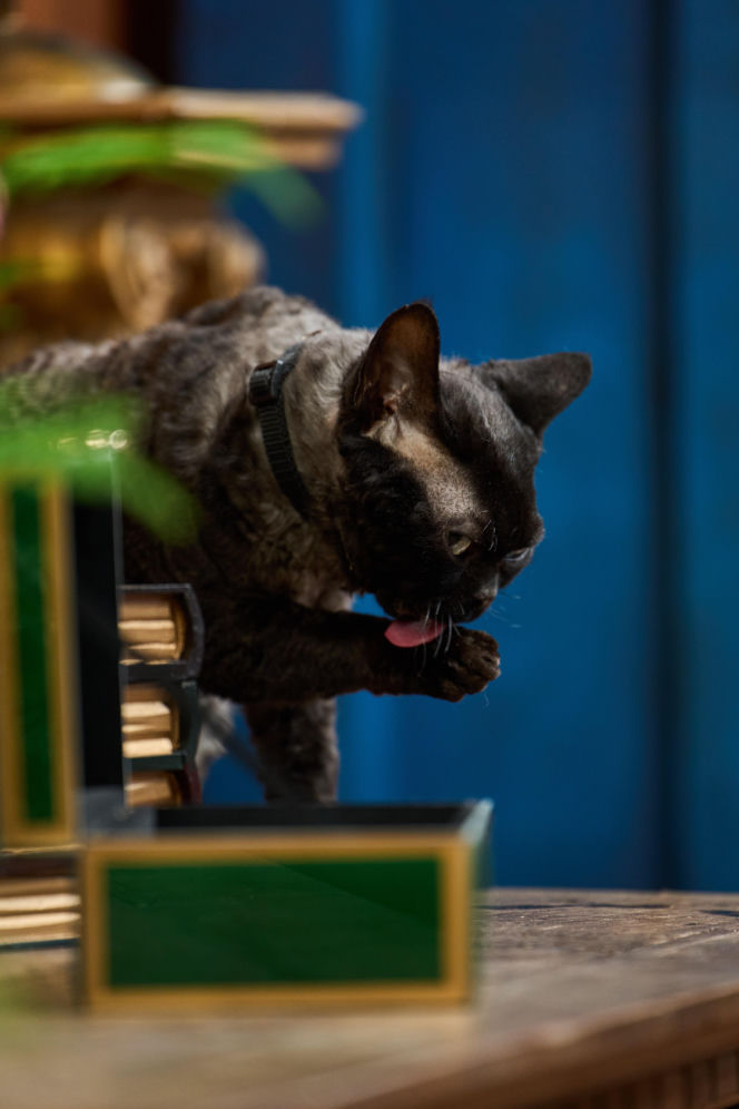 "The Traitors. Zdrajcy" sezon 3 odcinek 8