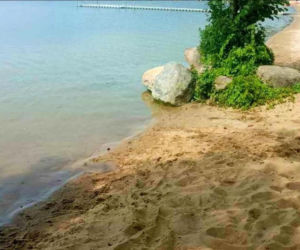 Boszkowo otwiera plażę dla psów