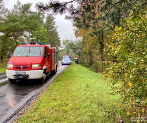 Groźny wypadek w Więcborku! Samochód wypadł z drogi i zatrzymał się na drzewie!