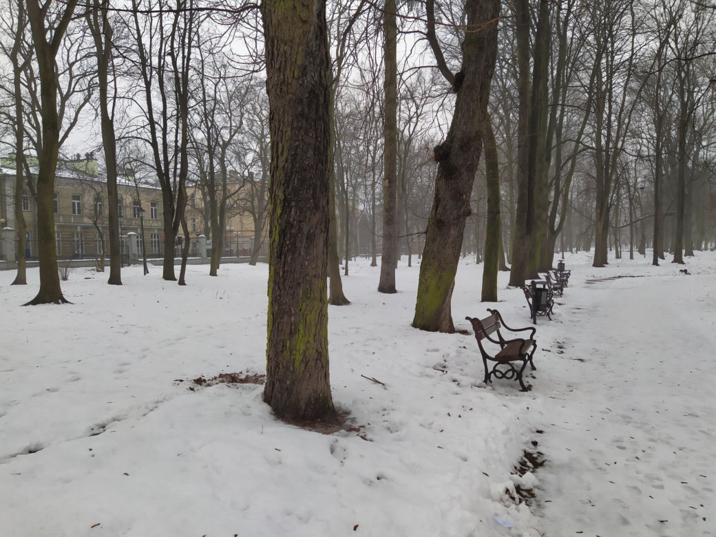 Gdzie mieścił się kiedyś letni teatr? Siedlecki park Aleksandria sto lat temu i w pierwszym tygodniu stycznia 2021: