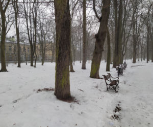 Gdzie mieścił się kiedyś letni teatr? Siedlecki park Aleksandria sto lat temu i w pierwszym tygodniu stycznia 2021: