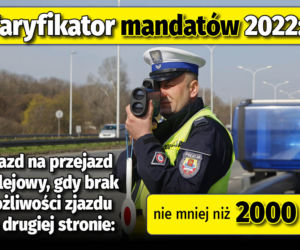 Taryfikator mandatów 2022 