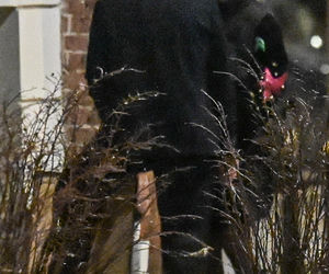 17.Dancing with the Stars. Taniec z Gwiazdami impreza po finale