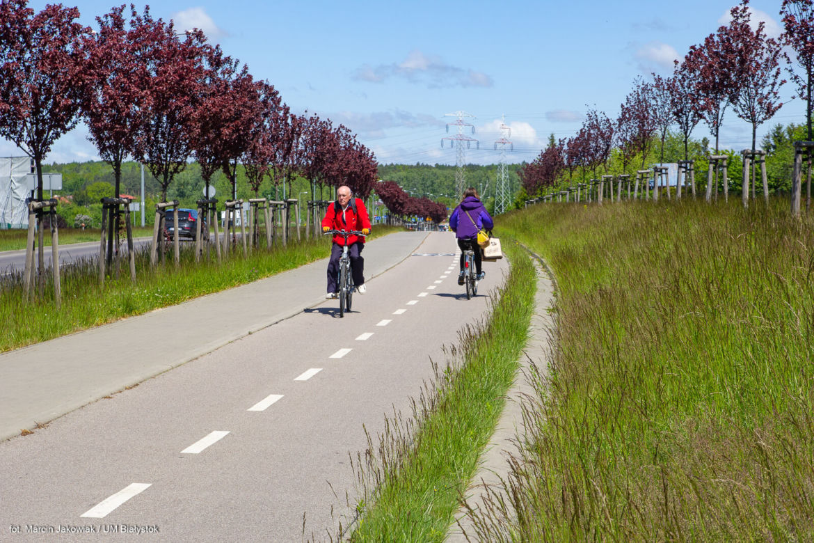 Miasto z Klimatem. Białystok zwyciężył w ogólnopolskim konkursie [ZDJECIA]