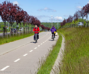 Miasto z Klimatem. Białystok zwyciężył w ogólnopolskim konkursie [ZDJECIA]