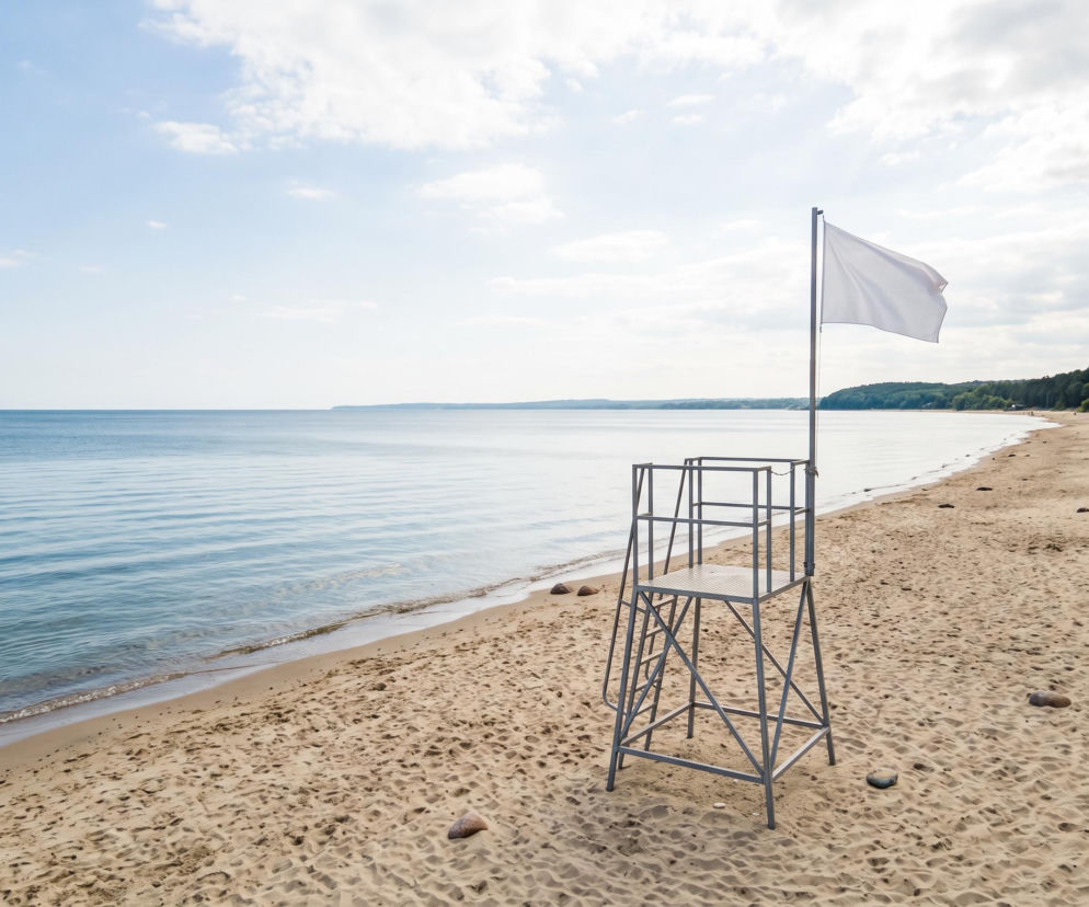Sinice Gdynia. Czy w Gdyni można się kąpać 26.08? Flaga, warunki pogodowe