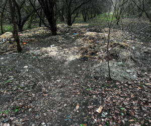 Zabrali dzieciom psa jak rzecz