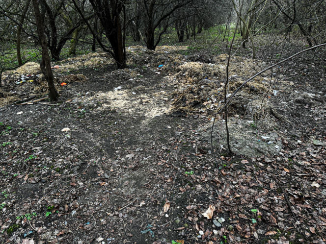 Zabrali dzieciom psa jak rzecz