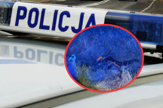 Podczas gęstej mgły policjanci zauważyli wystającą z rowu rękę. Dzięki ich reakcji ranny 18-letni motocyklista trafił do szpitala