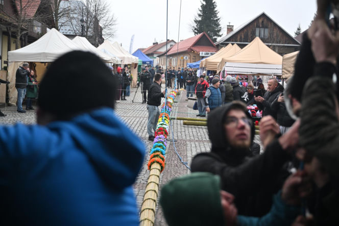 35 metrów i 80 centymetrów liczy palma, która zwyciężyła tegoroczny konkurs palm w Lipnicy Murowanej