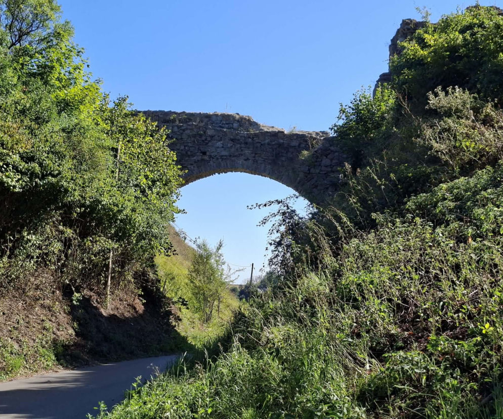 Ossolin