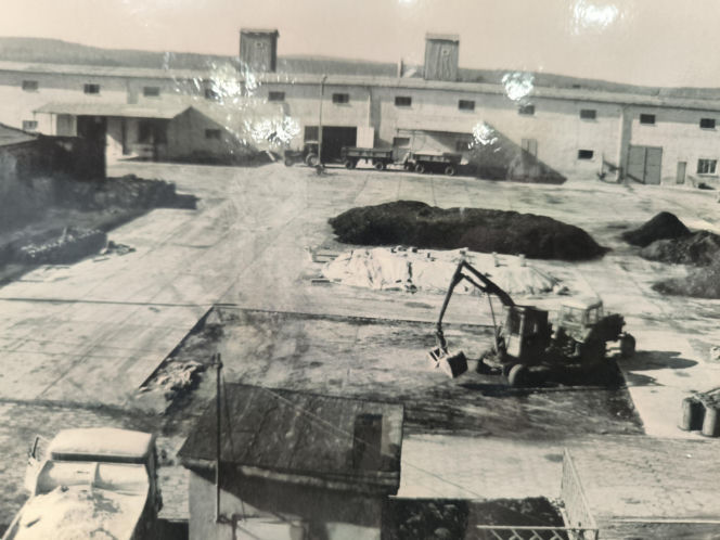 80 lat GS Samopomoc Chłopska Osieczna