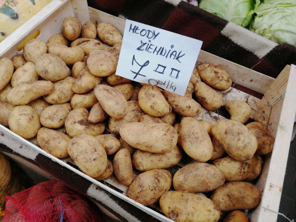 Ceny nowalijek na krakowskich targowiskach. Ile zapłacimy za młode warzywa w marcu 2024?