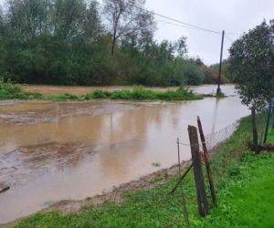 Woda w Morowie - mieszkańcy walczą z powodzią
