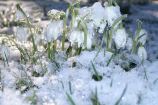 Taki będzie marzec według ludowej prognozy pogody. Zapiski mojego dziadka mówią wprost!  Będzie słońce, ale czeka nas coś jeszcze