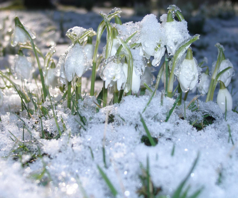 Taki będzie marzec według ludowej prognozy pogody. Dawniej ludzie właśnie tak przepowiadali pogodę. To będzie kluczowe 