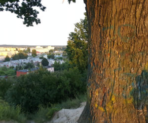 Jakie tajemnice kryją Górki Fordońskie?