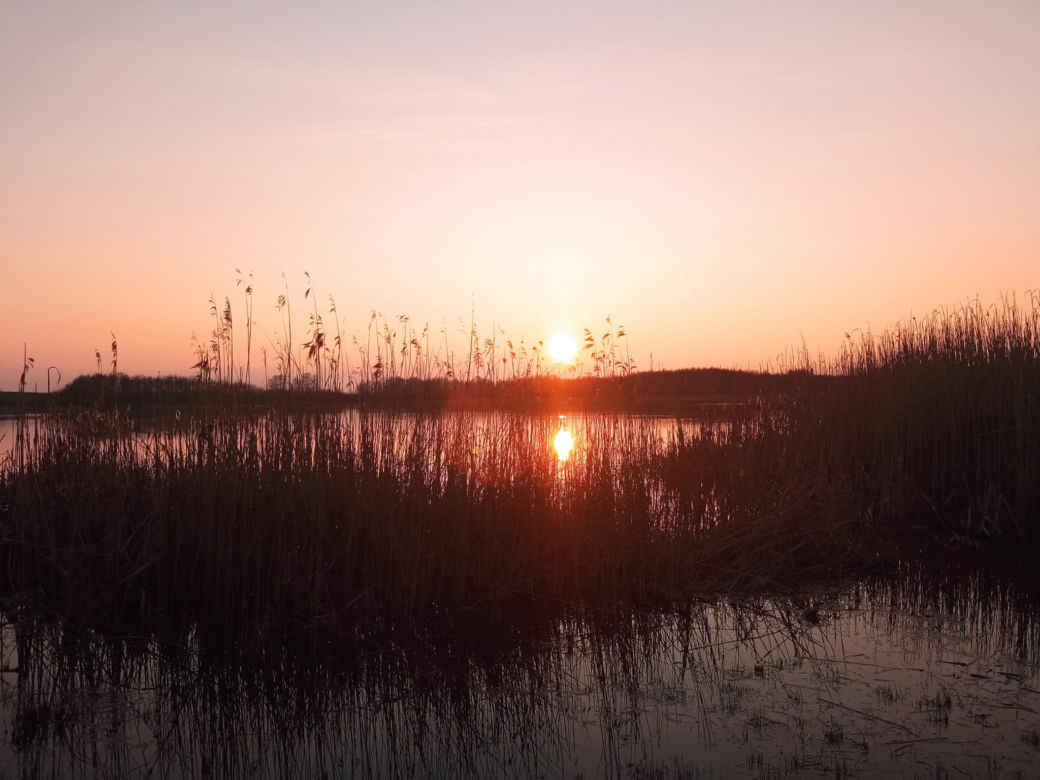 Wyschnięte jezioro w Skrzatuszu pod Piłą