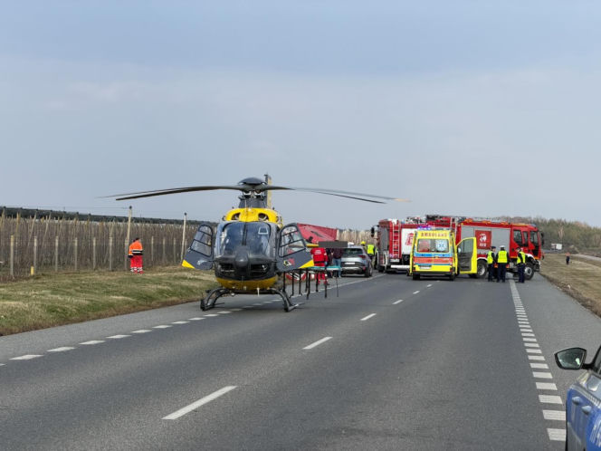 Horror na krajowej "50". Ciężarówka wylądowała w rowie, dwie osoby wyleciały przez przednią szybę!