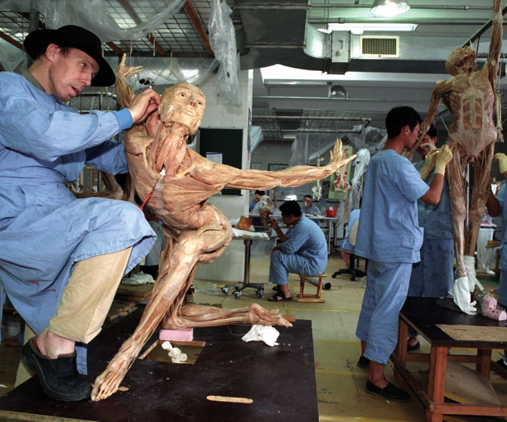 Body Worlds: Wystawa, której nigdy nie zapomnisz