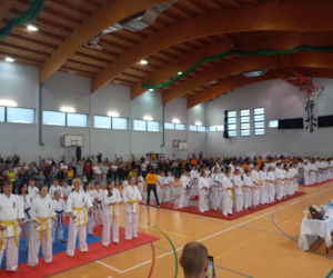 V Kyokushin Cup