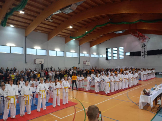 V Kyokushin Cup