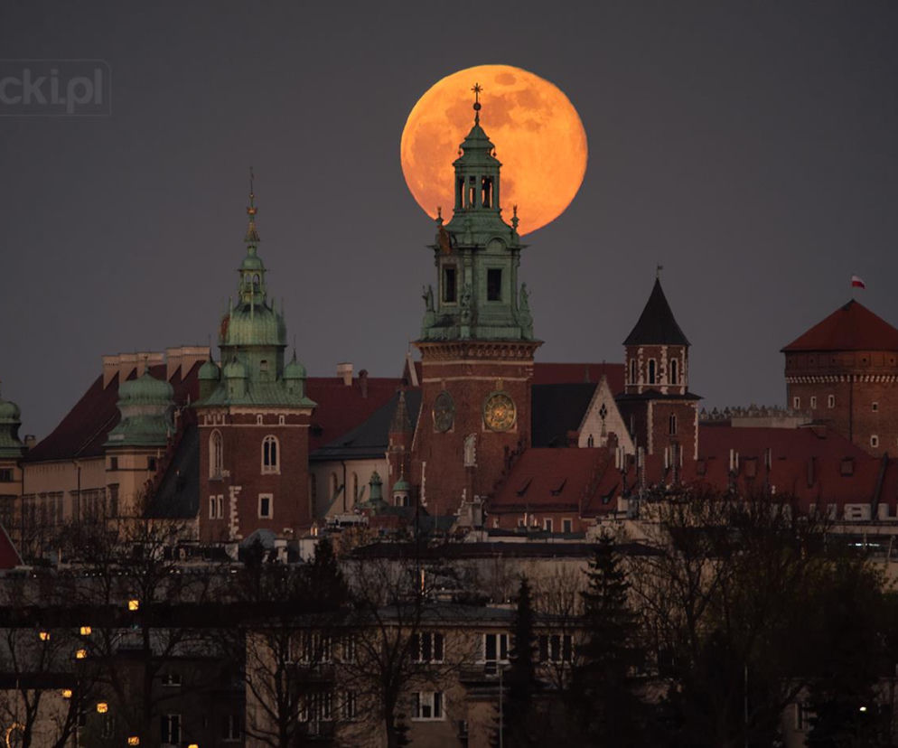 Kraków - zdjęcie dnia