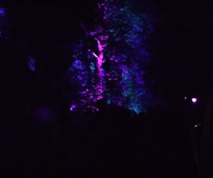 12. Bella Skyway Festival w Toruniu