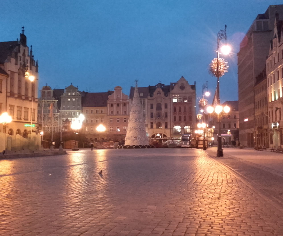 Choinka na wrocławskim rynku