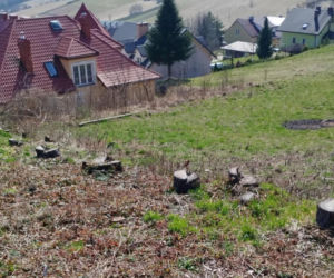 Sądy pobłażliwe dla wójtów. Sprawa z Podkarpacia podzieliła mieszkańców