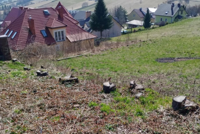 Sądy pobłażliwe dla wójtów. Sprawa z Podkarpacia podzieliła mieszkańców