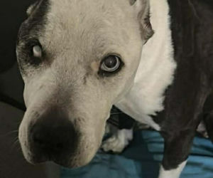 16-letnia Dira zaginęła w mrozie. Leżała w polu i nie mogła wstać