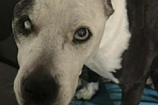 16-letnia Dira zaginęła w mrozie. Leżała w polu i nie mogła wstać