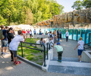 Nowoczesny pawilon dla pingwinów już otwarty