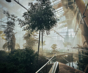 Egzotarium w Sosnowcu