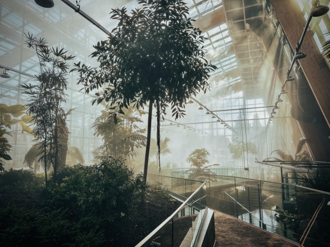 Egzotarium w Sosnowcu