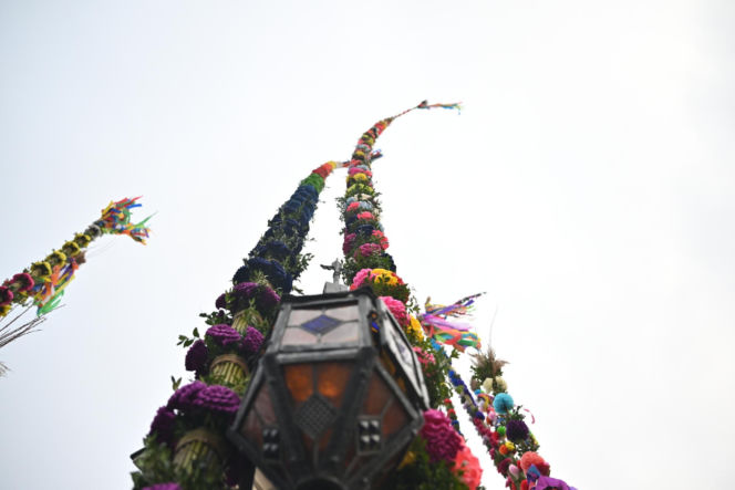 35 metrów i 80 centymetrów liczy palma, która zwyciężyła tegoroczny konkurs palm w Lipnicy Murowanej