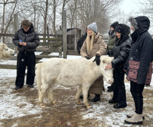 Joanna Krupa odwiedza schronisko dla zwierząt