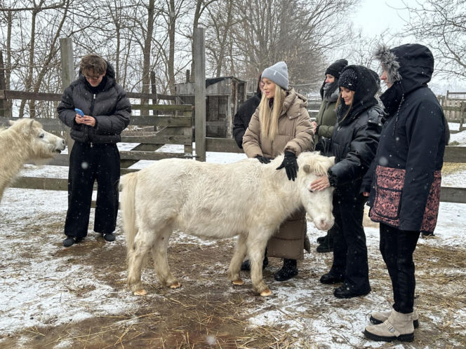 Joanna Krupa odwiedza schronisko dla zwierząt