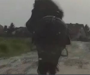 Zagalopował się na ulicach Świdnika. Policja prowadziła pościg za... osiodłanym koniem [ZDJĘCIA]