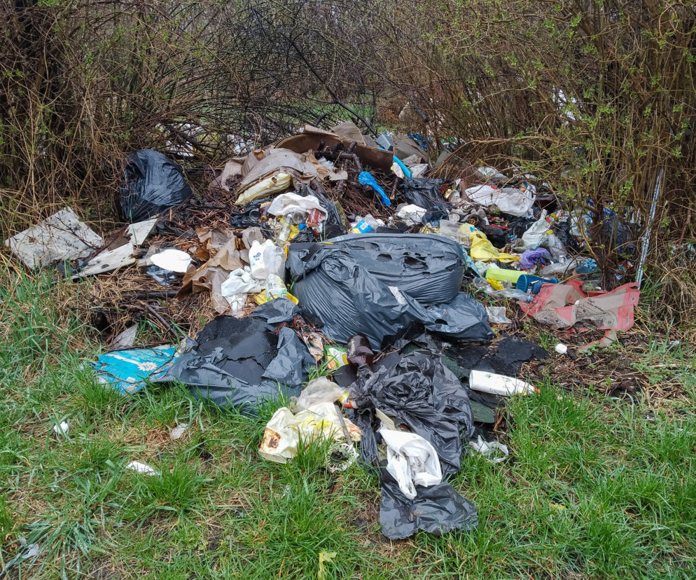 Wysypisko śmieci niedaleko Jeziorka Czerniakowskiego
