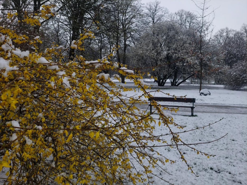 Zima w kwietniowym Zamościu. Sypnęło śniegiem