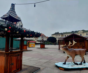 Choinka stoi. Most Staromiejski się stroi. Bydgoszcz rozbłyśnie już 21 listopada 2025. Rusza Bydgoski Jarmark Świąteczny