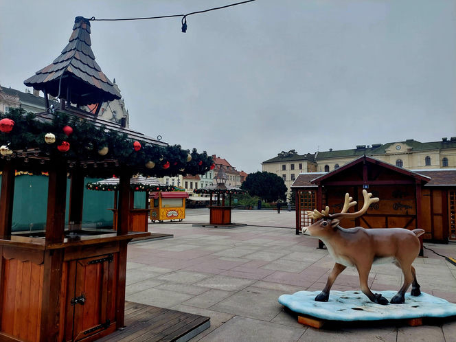 Choinka stoi. Most Staromiejski się stroi. Bydgoszcz rozbłyśnie już 21 listopada 2025. Rusza Bydgoski Jarmark Świąteczny