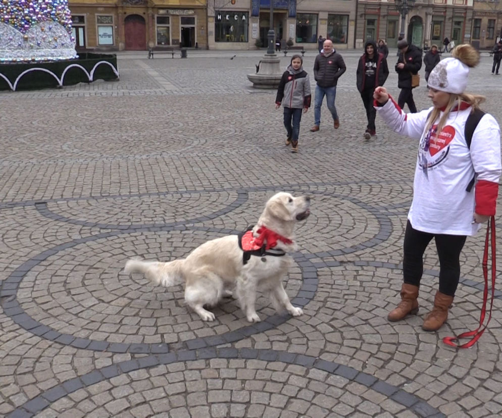 26. Finał WOŚP we Wrocławiu