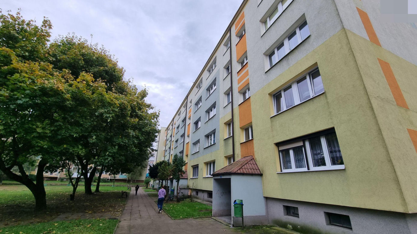 Dawni sąsiedzi Grzegorza Borysa nie mogą uwierzyć w to, co stało się w Gdyni